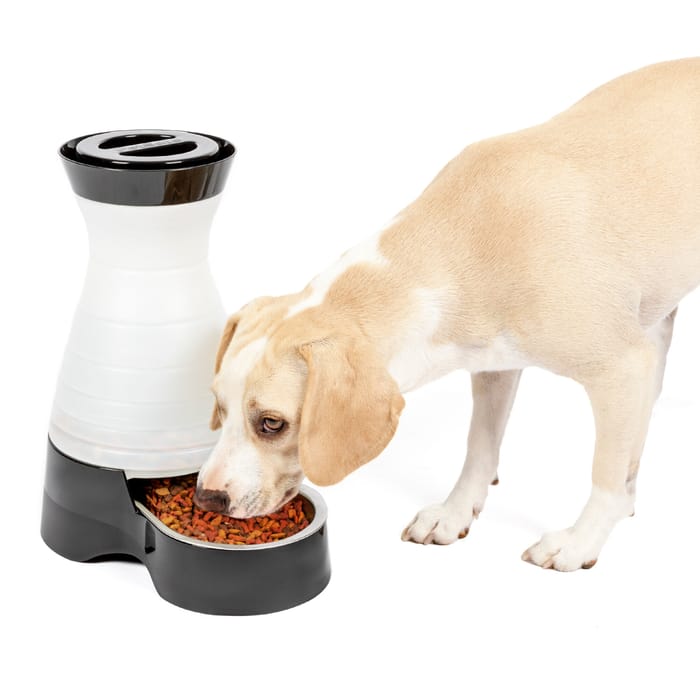 PetSafe Healthy Pet Food Station Gravity Feeder - Medium product detail number 1.0
