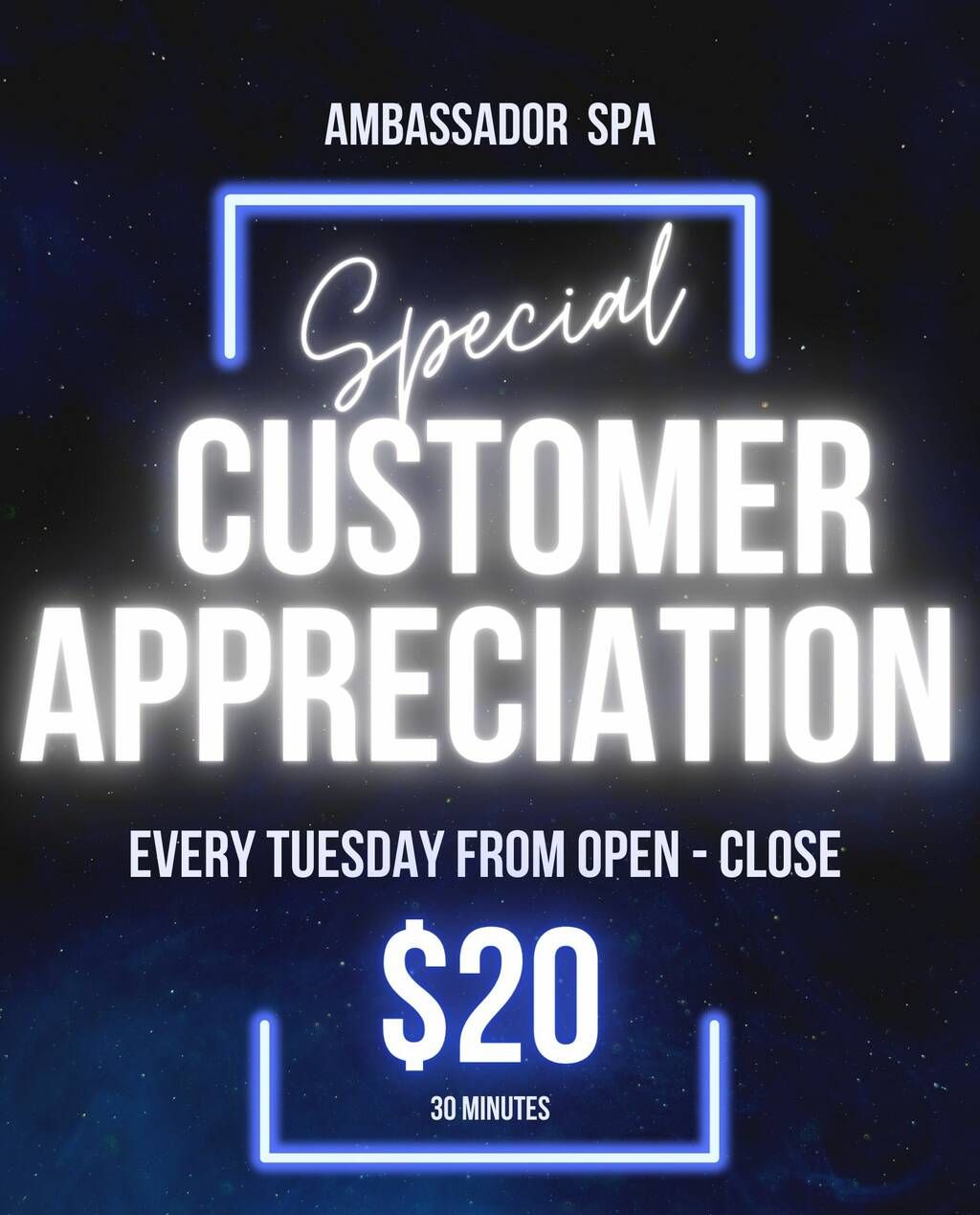 Ambassador Spa