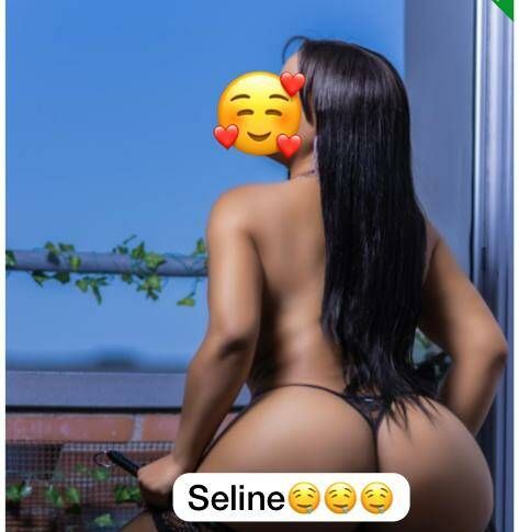 Seline