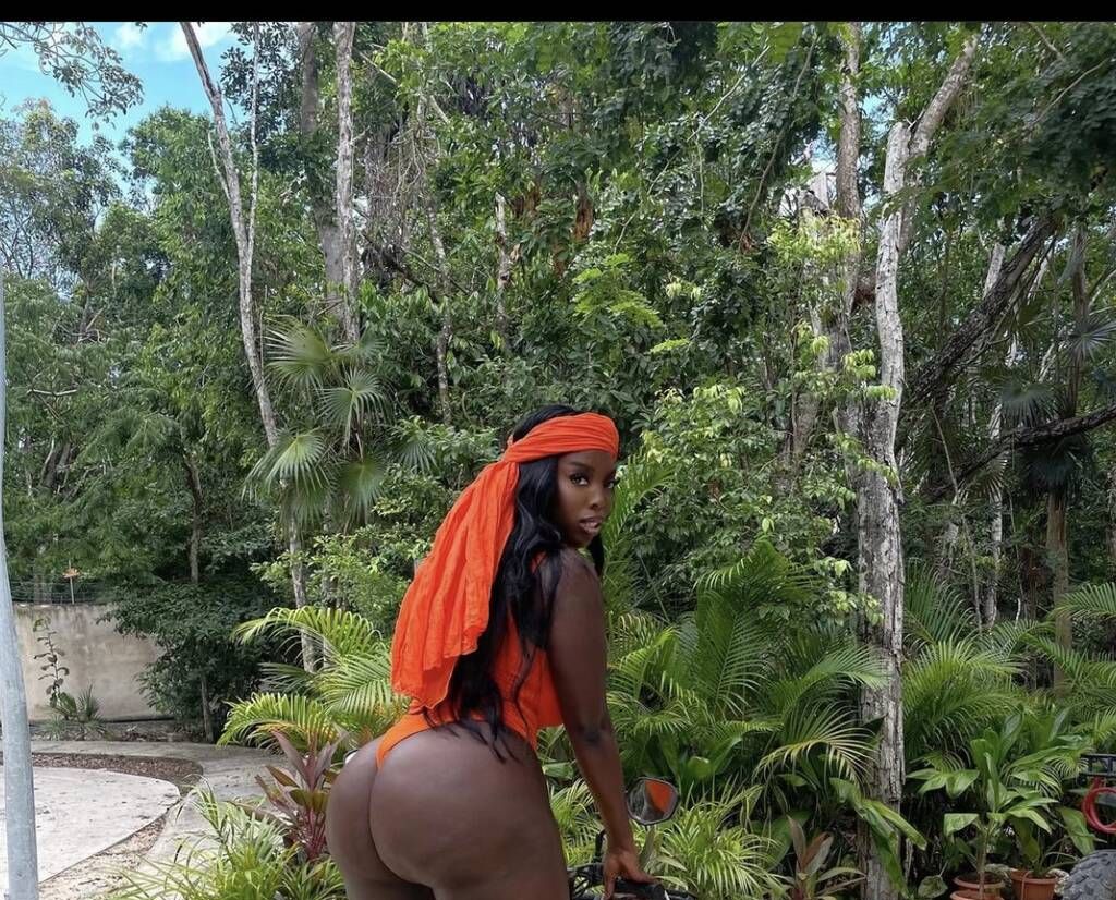 Juicy Chocolate Ass