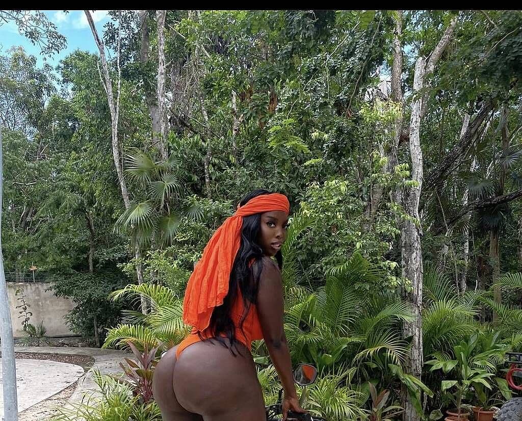 Juicy Chocolate Ass