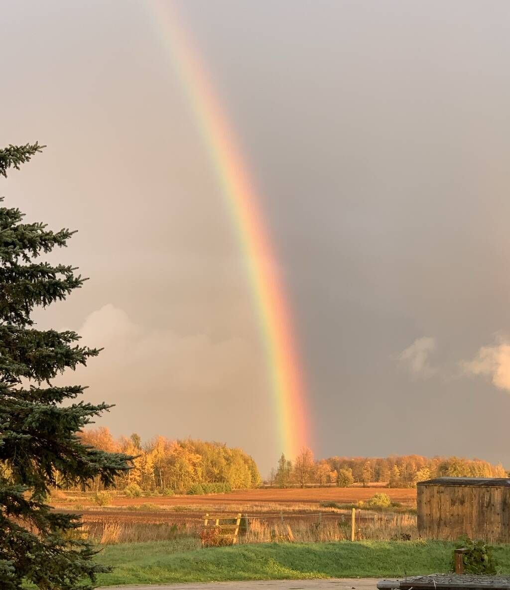 The Farm Sanctuary