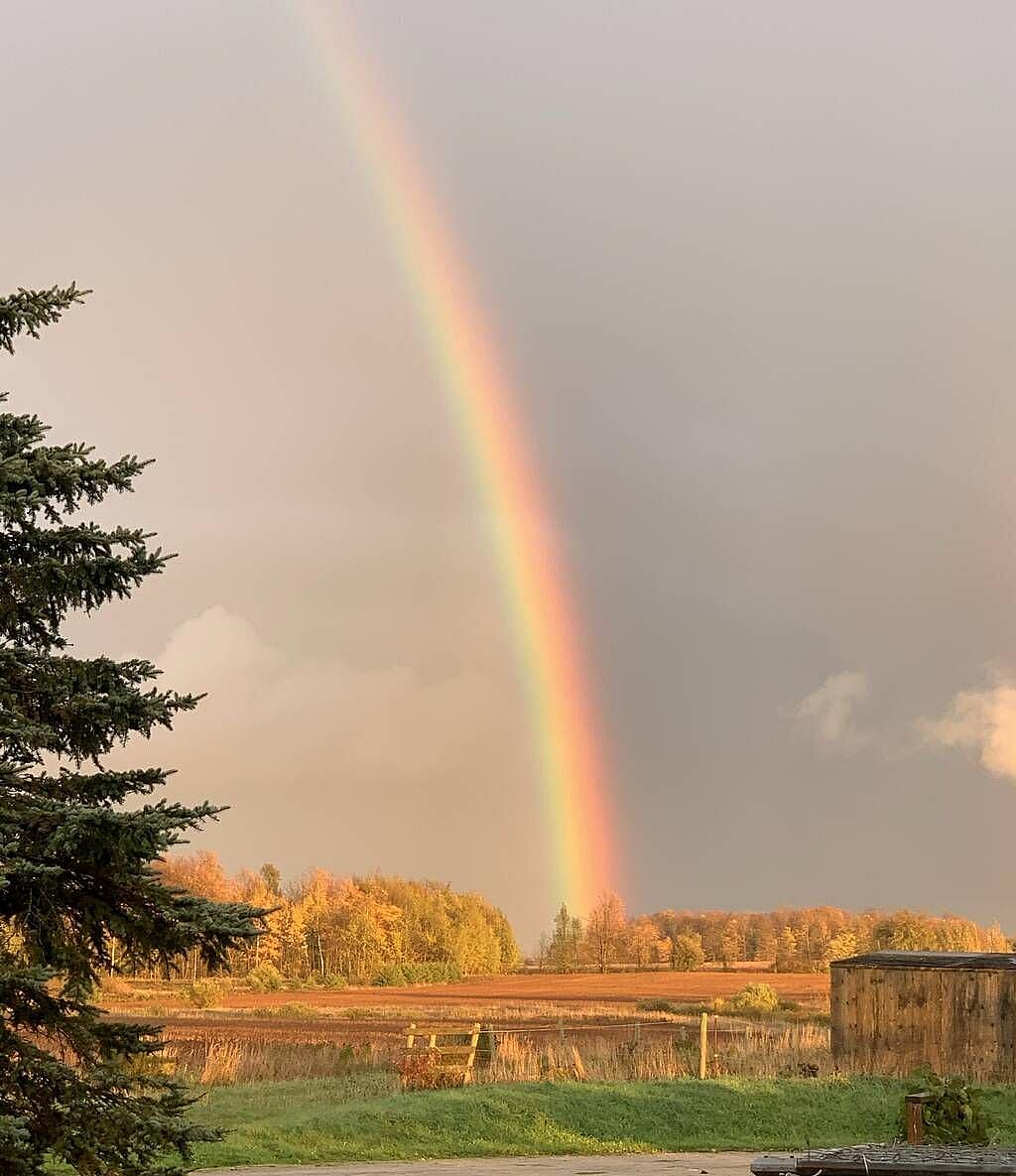 The Farm Sanctuary