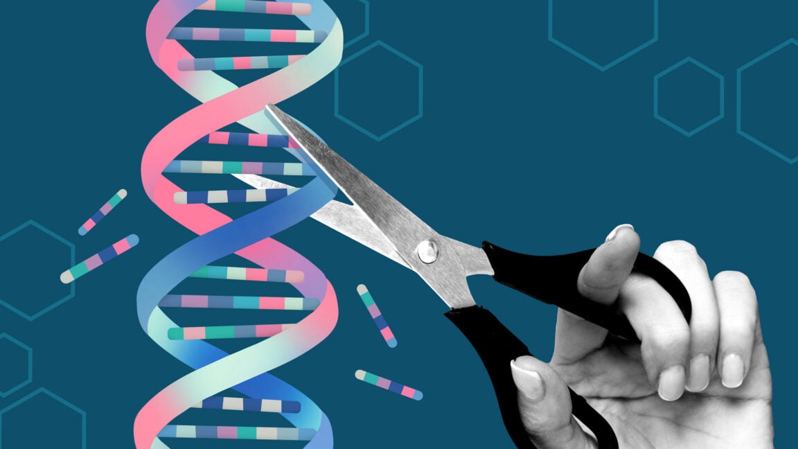 Ars Technica image for Team uses AlphaFold AI to redesign gene-editing proteins to make them safer - Ars Technica