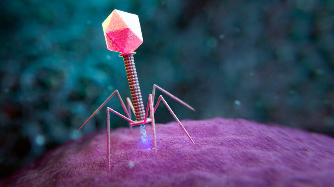 Ars Technica image for Large genome models used to design new viruses - Ars Technica