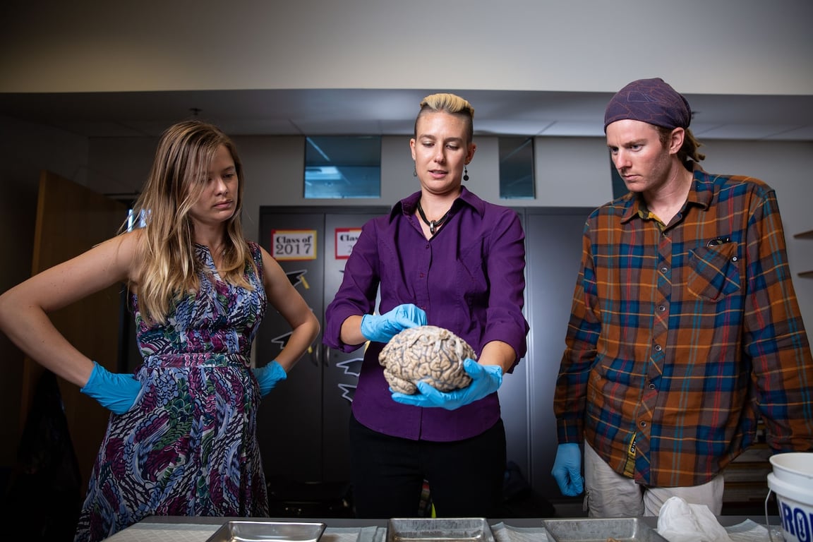 The Washington Post image for Surprising links between autism, Alzheimer’s could change how we treat both - The Washington Post