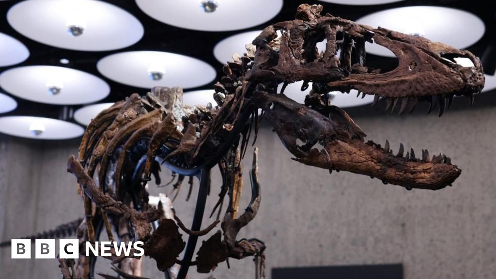 BBC News image for Dinosaur skeleton goes to auction in New York with £4.5m price tag - BBC