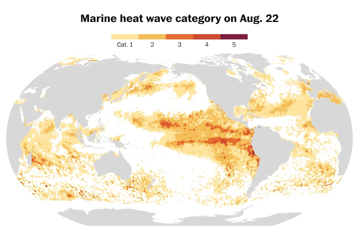 The Washington Post image for The ocean just broke a temperature record that may have stood for millennia - The Washington Post