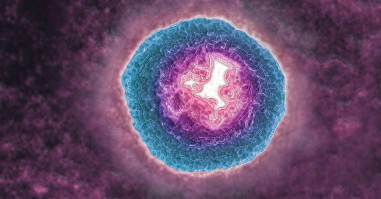 Wired image for The Shingles Virus May Be Aging You More Quickly - WIRED