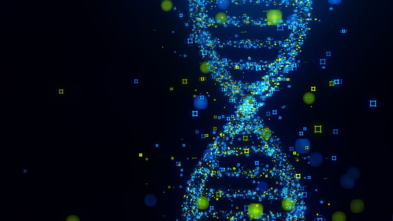 CNN image for Clues to two mysterious ‘ghost’ ancestors emerge from genetic traces found in modern human DNA - CNN