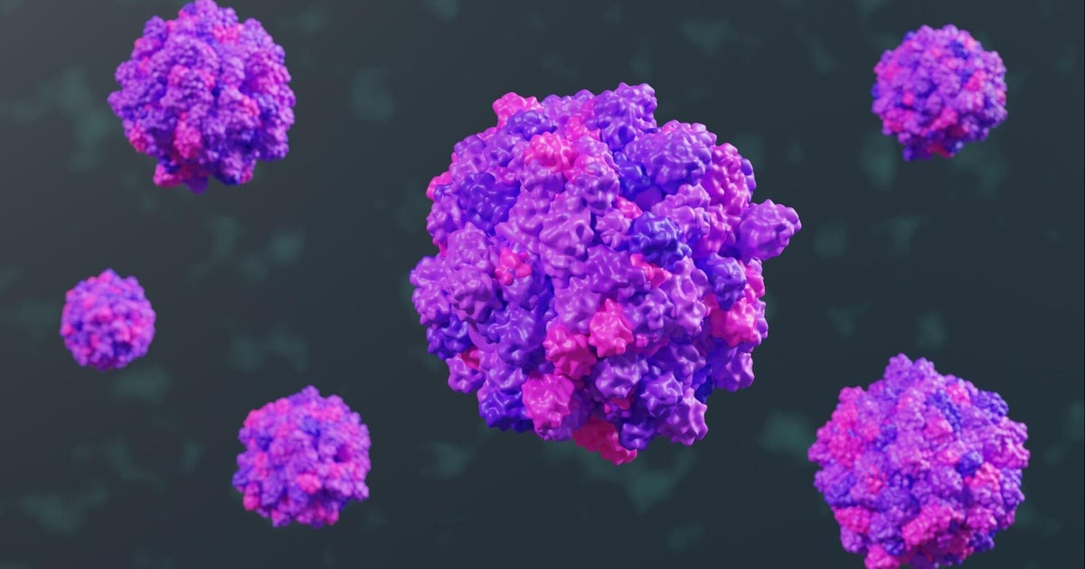 CBS News image for Norovirus outbreak reported on Princess cruise ship that departed Fort Lauderdale - CBS News