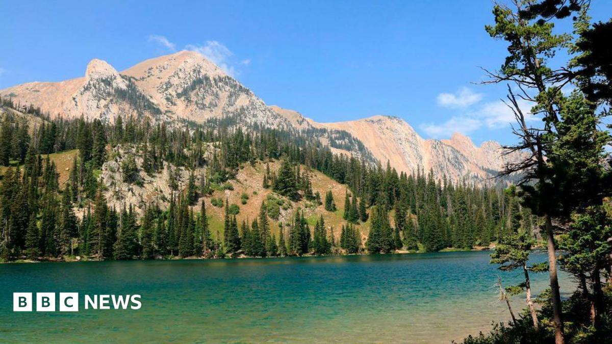 BBC News image for How the 'Yellowstone effect' transformed one rugged western American city