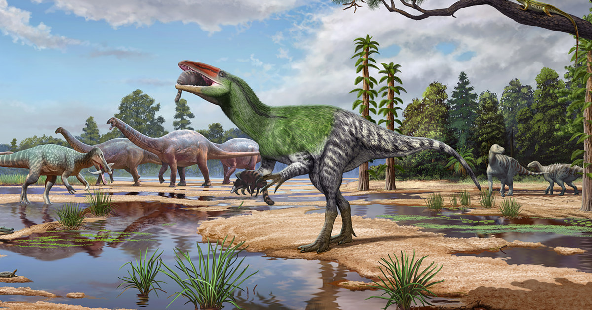 NBC News image for Fossil kept in drawer for a century sheds light on enigmatic meat-eating dinosaurs - NBC News