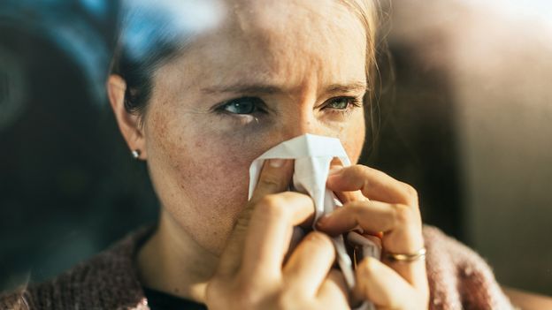 BBC News image for Hay fever: Nine tips for coping with pollen and seasonal allergens - BBC