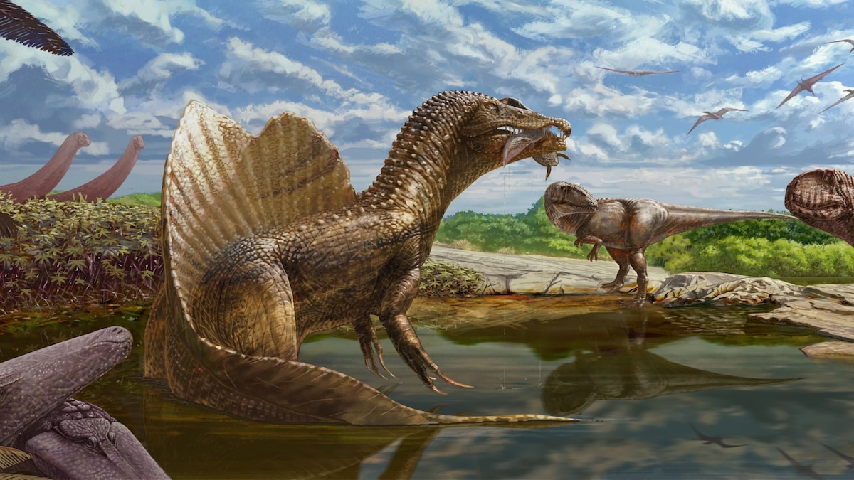 National Geographic image for The Dinosaurs That Went Extinct ... Twice - National Geographic