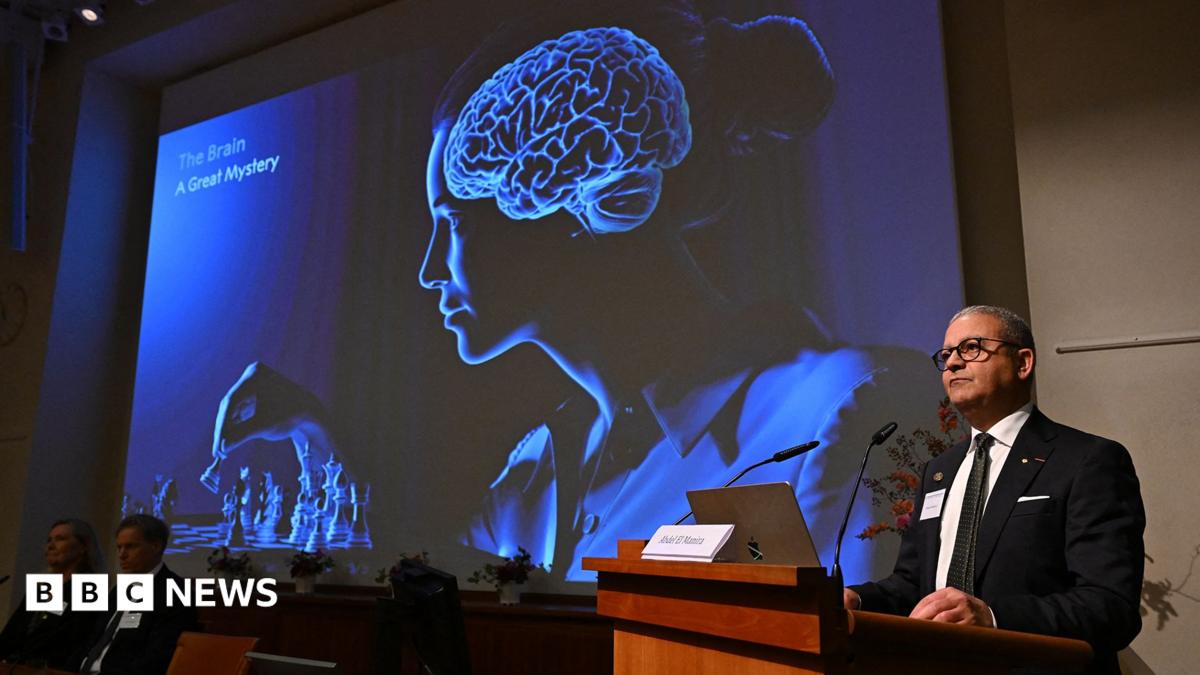 BBC News image for Nobel Prize 2026 awarded for showing inner workings of the brain