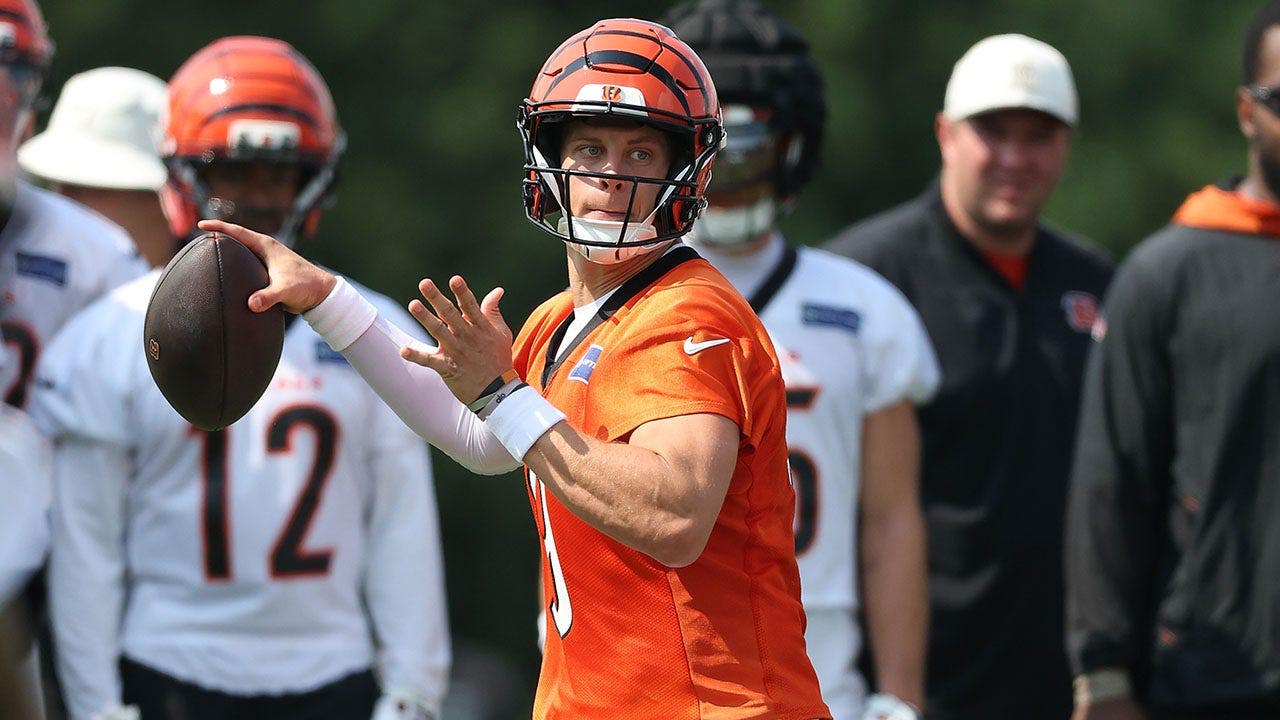 Fox News image for 2026 NFL season predictions: Division winners, playoff teams and Super Bowl pick revealed - Fox News