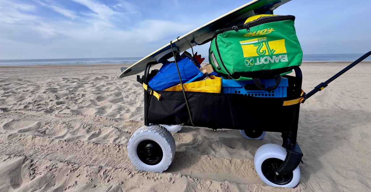 The Verge image for This remote-controlled wagon is silly but so very useful - The Verge