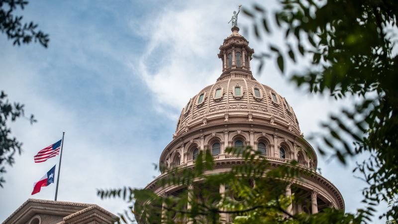 CNN image for California couple’s surrogate gives birth in Texas after judge orders life-saving care - cnn.com