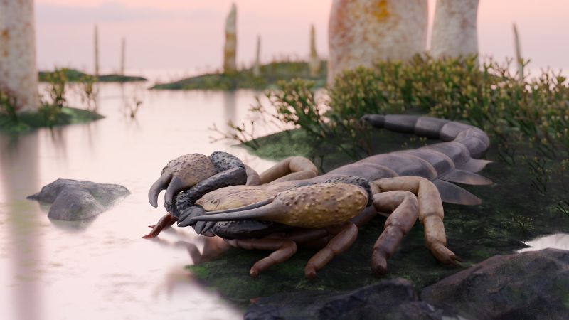 CNN image for The largest scorpion to walk the Earth was more than 3 feet long - CNN