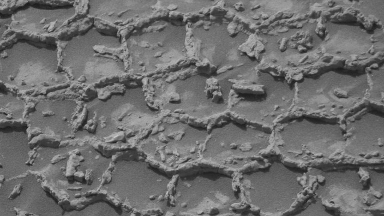 The Times of India image for NASA's curiosity rover spots mysterious honeycomb pattern on Mars, leaving scientists puzzled over its or - The Times of India