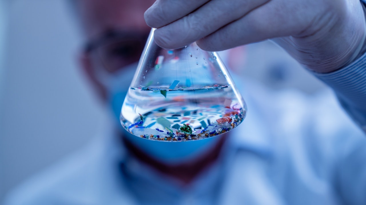 Fox News image for Microplastics detected in most heart attack patients' blood in startling new study - Fox News