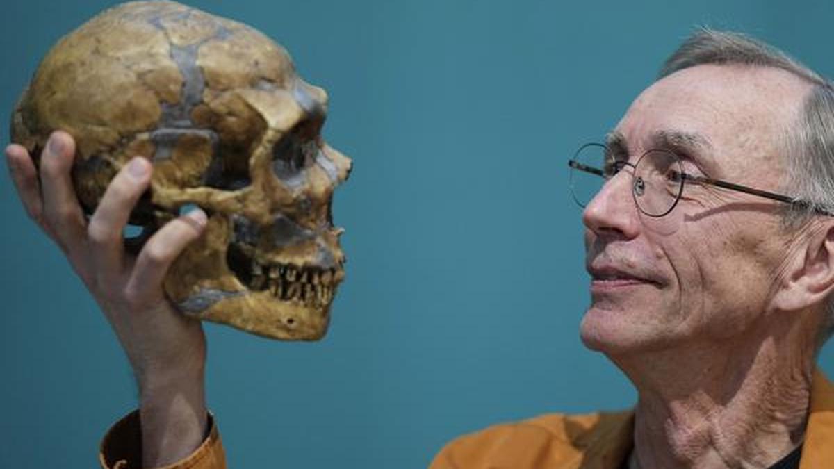 The Hindu image for How did the Neanderthals go extinct? - The Hindu