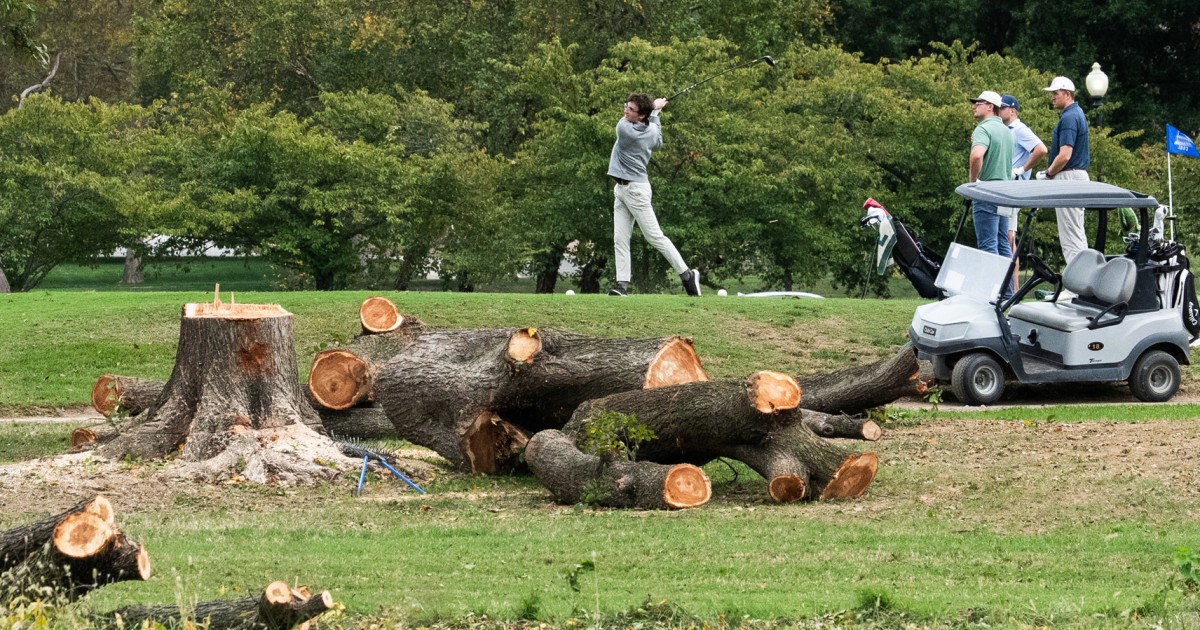 NBC News image for Judge further extends block on Trump administration’s removing trees at D.C. golf course - NBC News