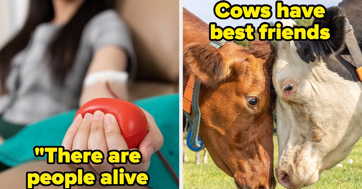Buzzfeed image for People Are Sharing Beautiful, Day-Brightening Facts That Sound Totally Made Up, But Are Actually 100% True - BuzzFeed
