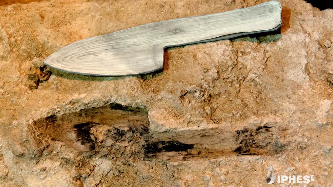 Ars Technica image for Neanderthal wooden tools from Spain found preserved in stone - Ars Technica