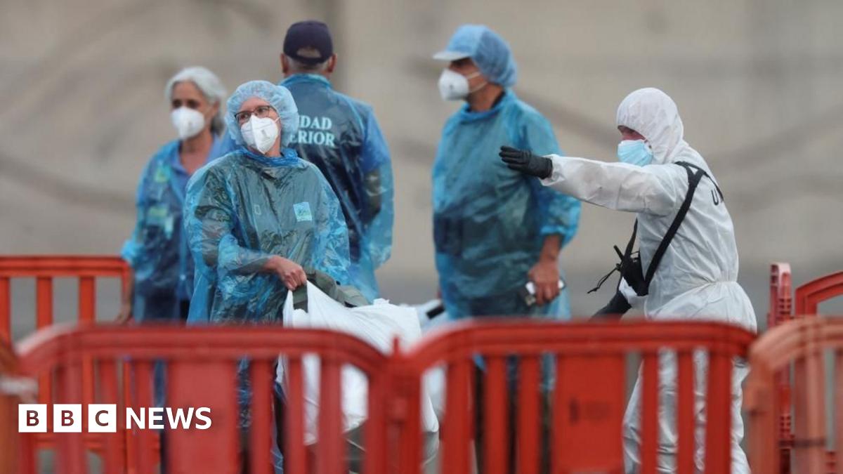 BBC News image for US and French nationals test positive for hantavirus after leaving ship