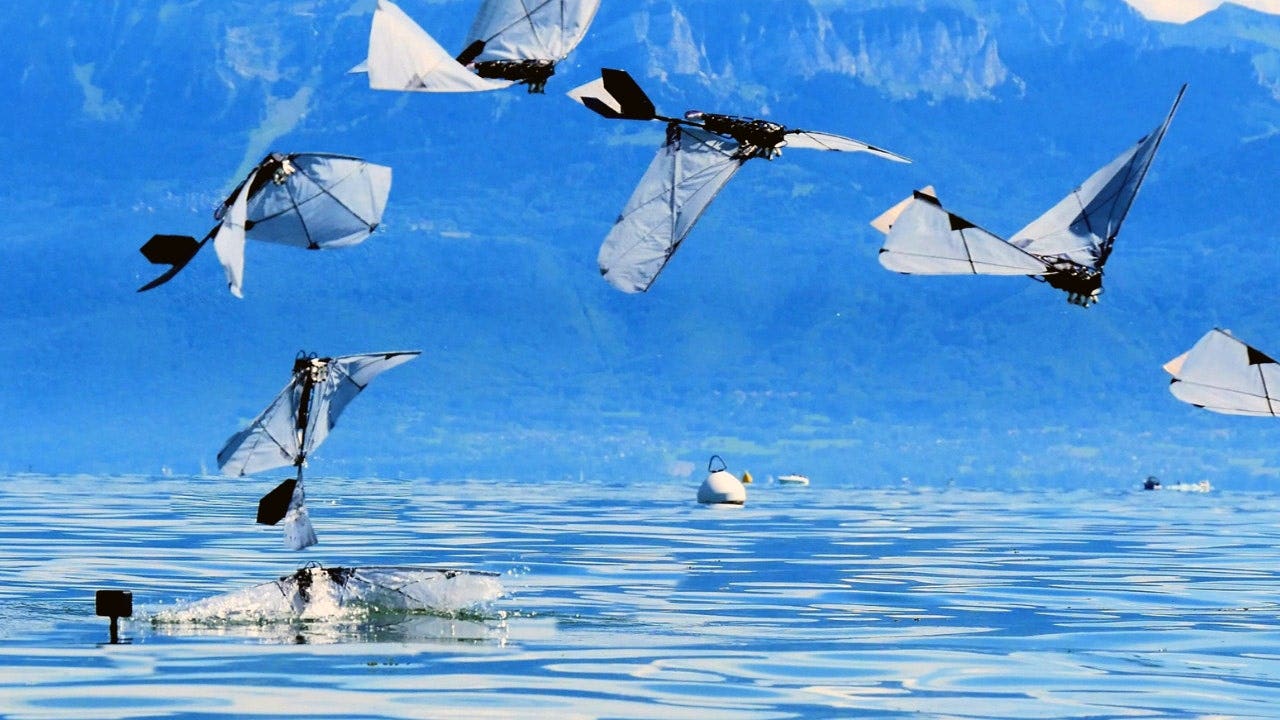 Fox News image for Robot bird swims underwater then flies away - Fox News