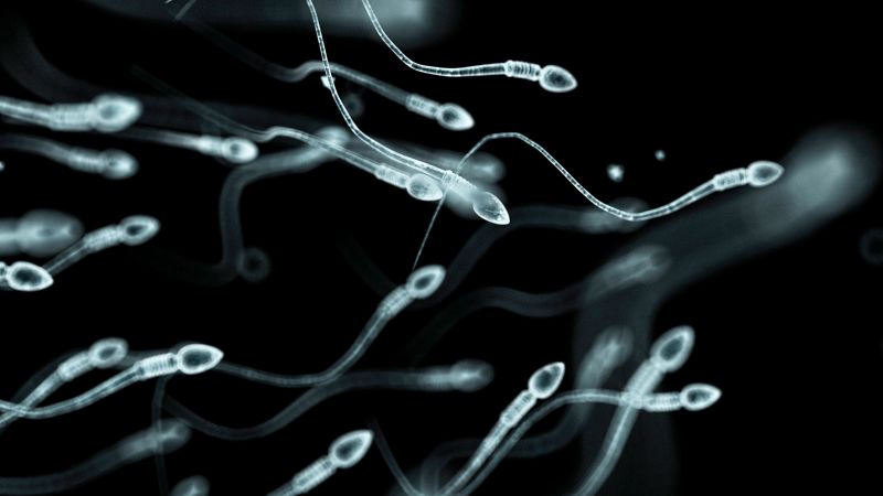CNN image for What men can do to produce healthy sperm - CNN
