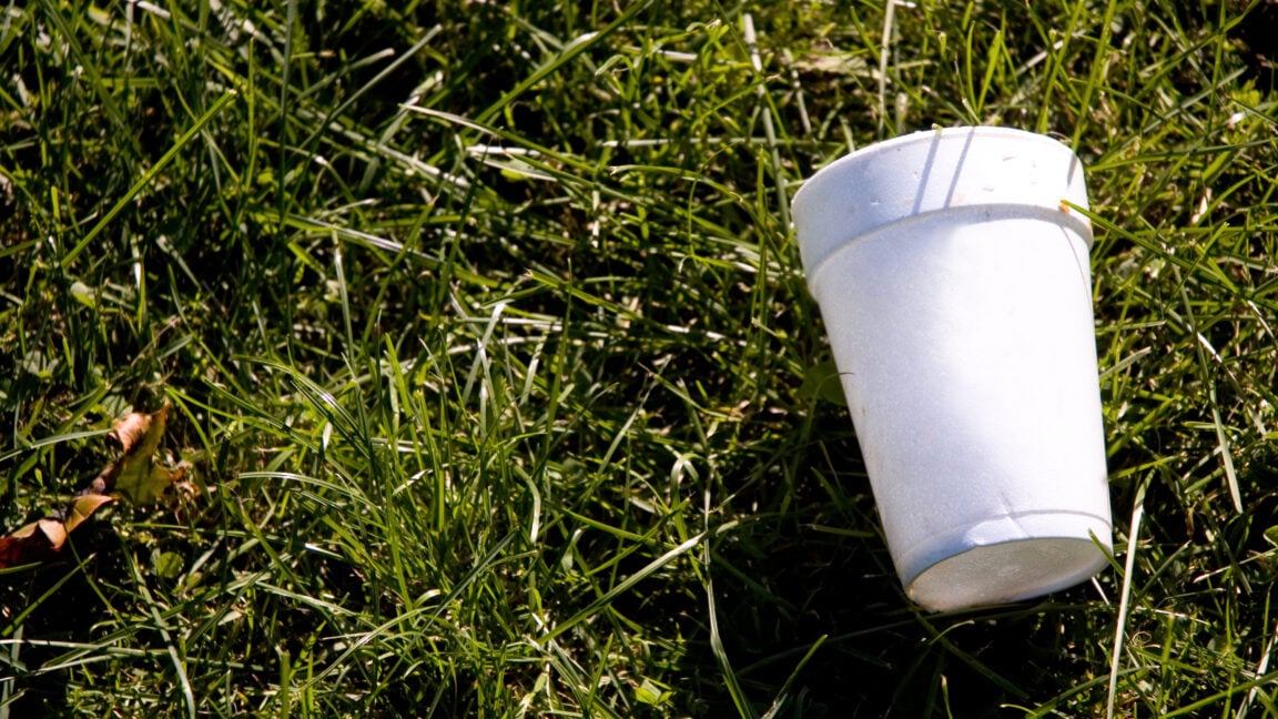 Ars Technica image for Your empty cuppa could capture carbon - Ars Technica