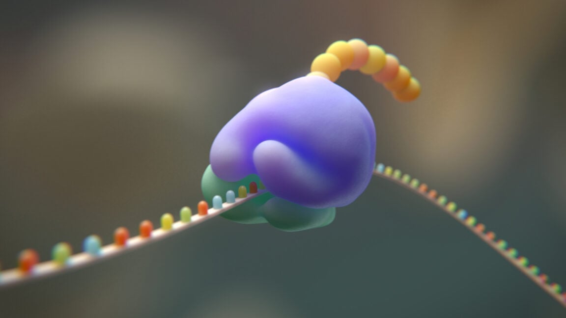 Ars Technica image for Researchers try to cut the genetic code from 20 to 19 amino acids - Ars Technica
