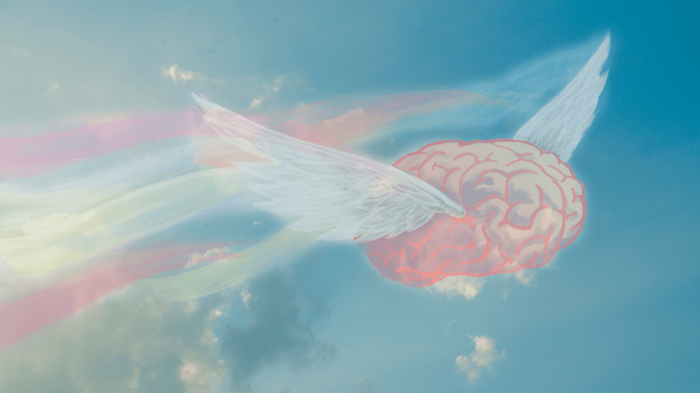 Vice News image for People Learned to Fly With VR Wings, Then Their Brains Did Something Weird - VICE
