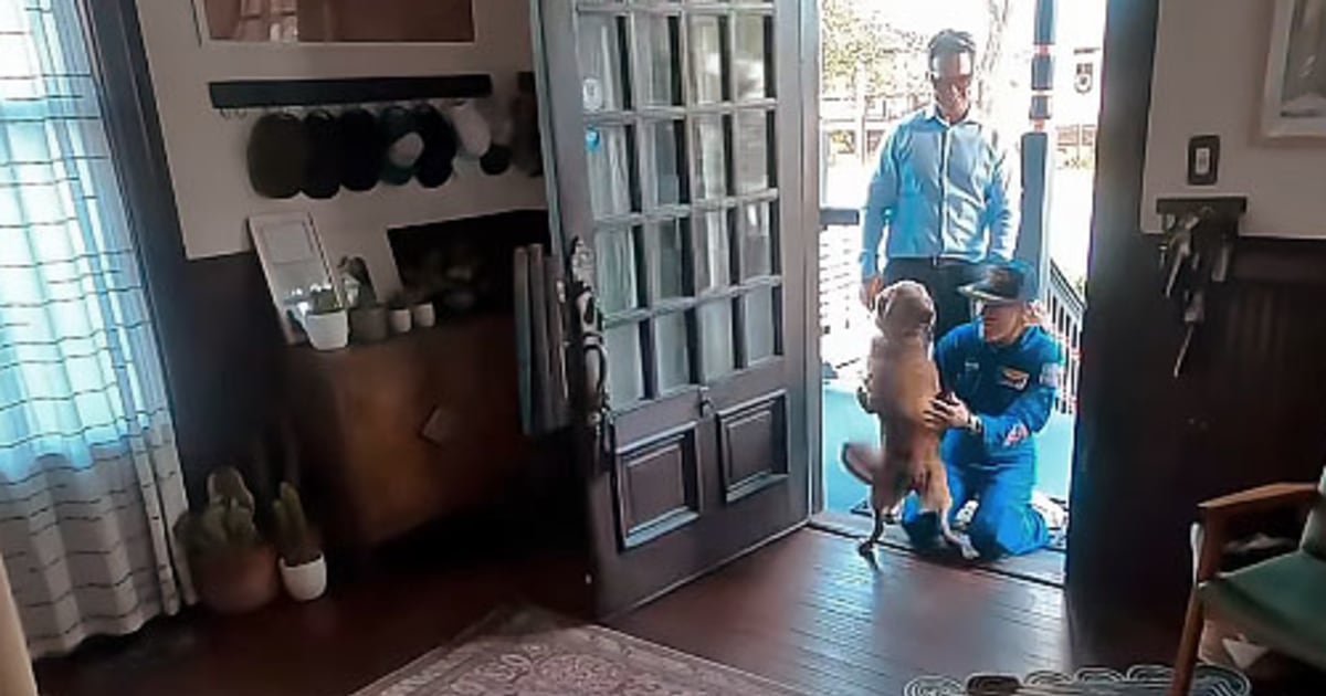 NBC News image for Heartwarming video shows Artemis II astronaut Christina Koch reuniting with her dog - NBC News