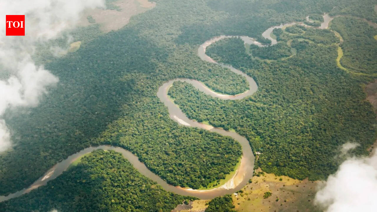 The Times of India image for Congo River releases 40,000 cubic metres of freshwater into the Atlantic every second. Scientists trace w - The Times of India
