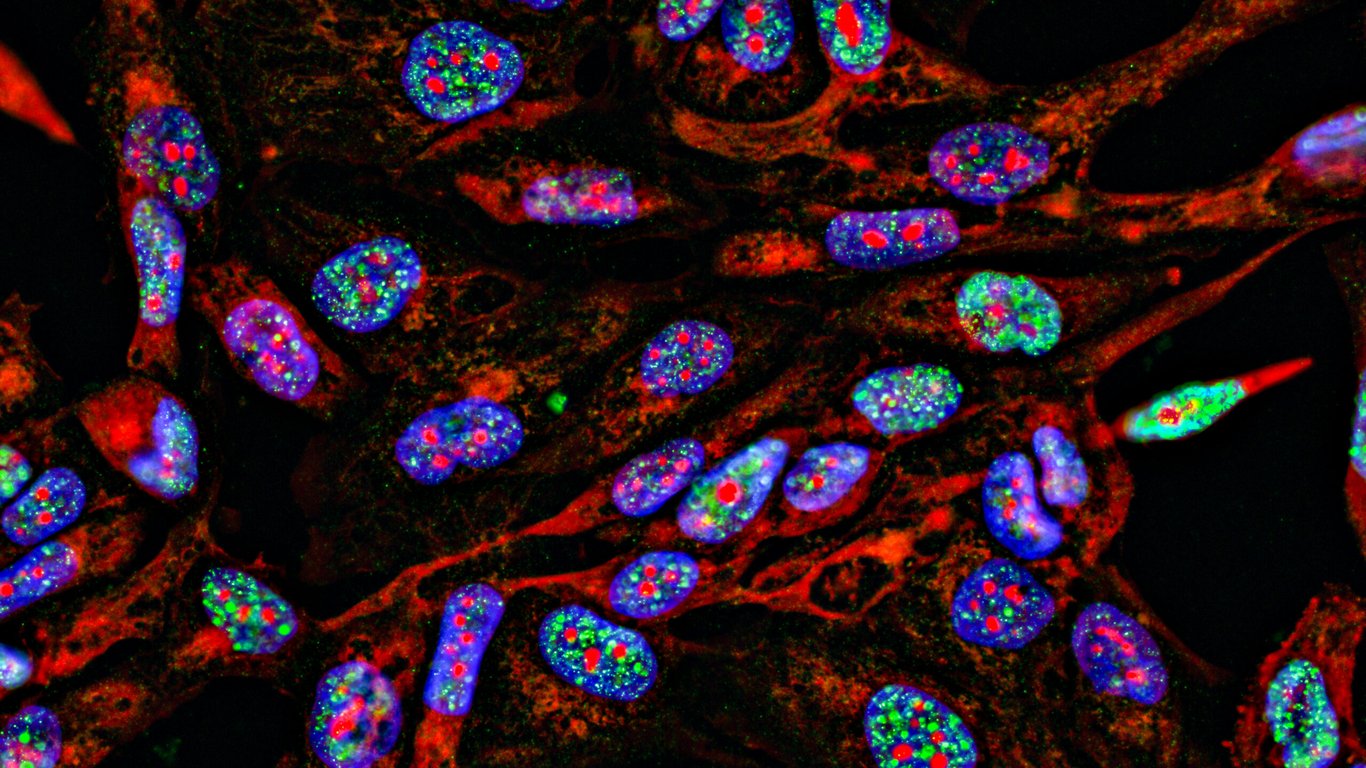 Ars Technica image for Lab supply companies have been selling antibodies using manipulated images - Ars Technica