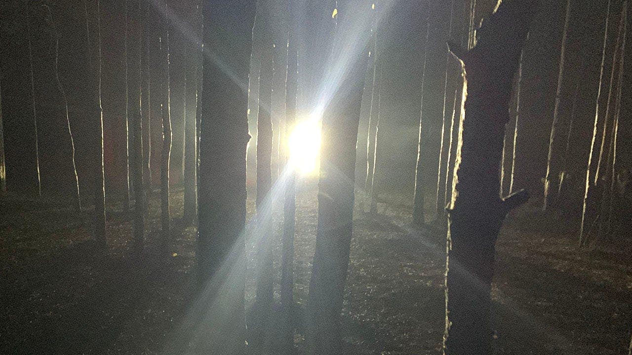 Fox News image for Country boys in Kentucky hear knocks in woods at night before one catches glimpse of Bigfoot with spotlight - Fox News