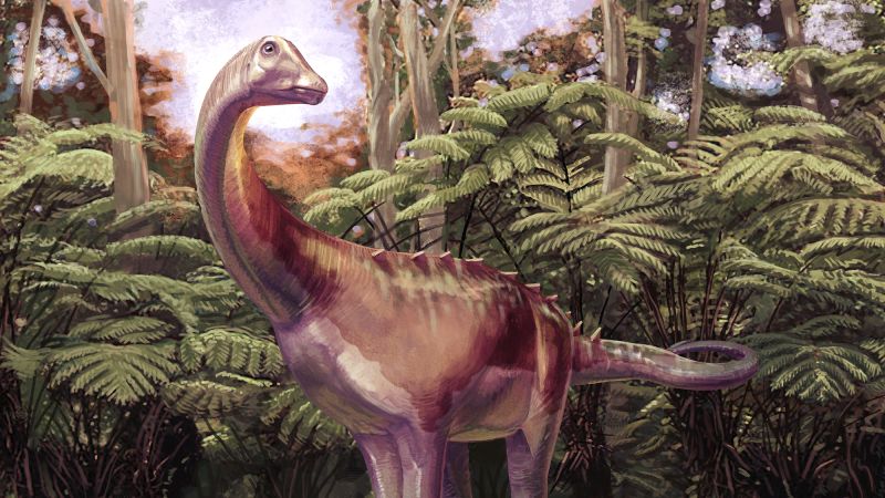 CNN image for Fossil kept in drawer for decades turns out to be first ever Antarctica dinosaur bone - CNN