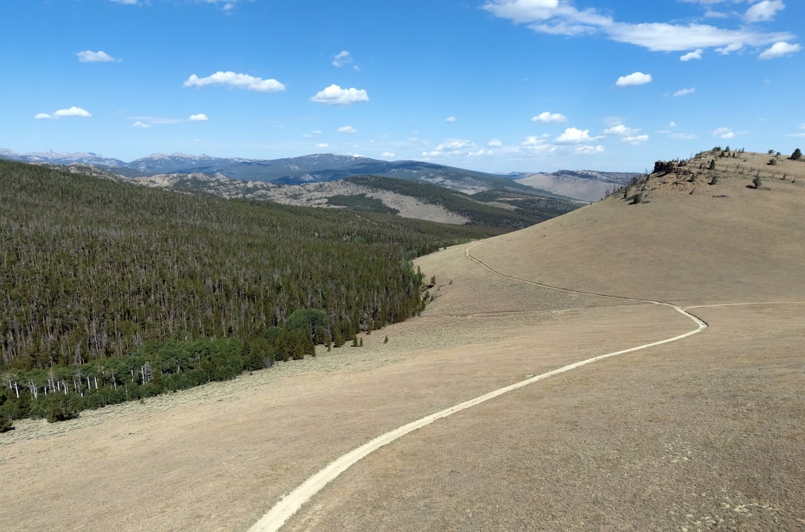 The Washington Post image for Trump seeks to open millions of acres of national forests to roads - The Washington Post