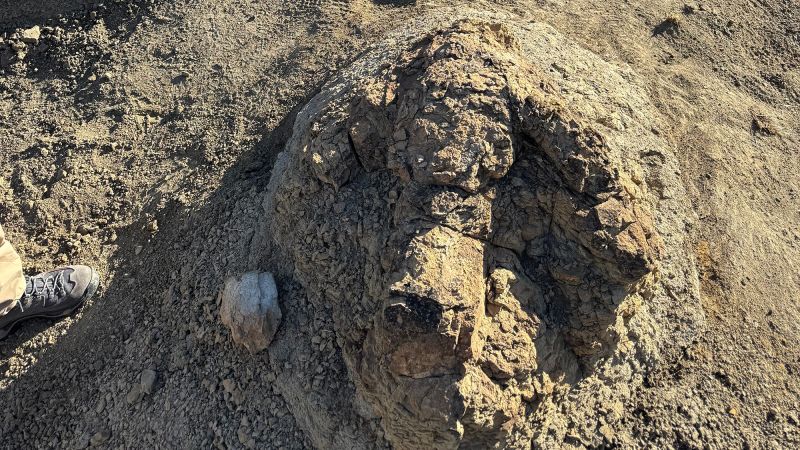 CNN image for A high school teacher stumbled across two giant footprints — and marked a first for science - CNN