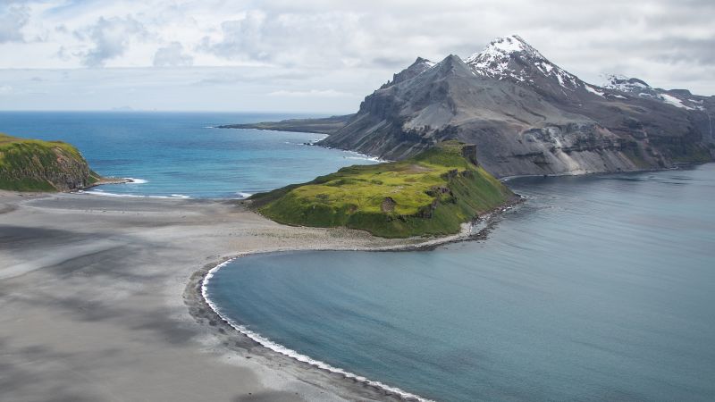CNN image for Thousands of baby seals died on two remote sub-Antarctic islands. Scientists now think they know why - CNN