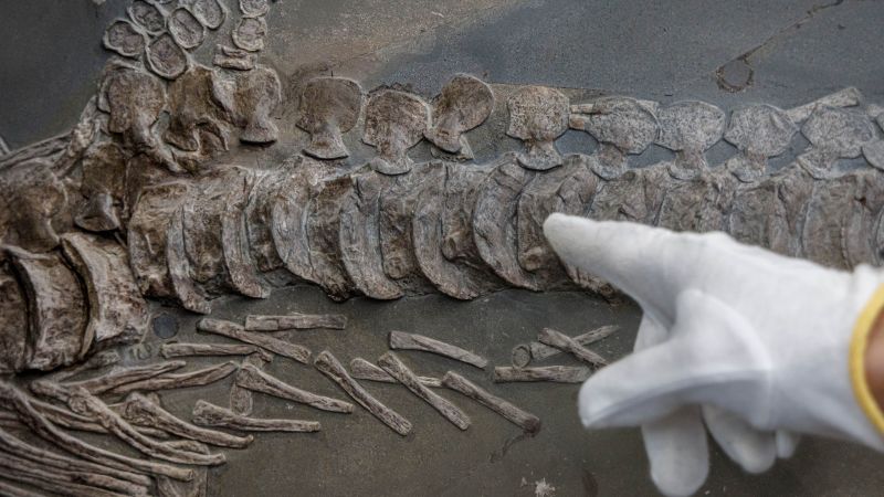 CNN image for If another advanced civilization lived on Earth before us, would we know? - Yahoo