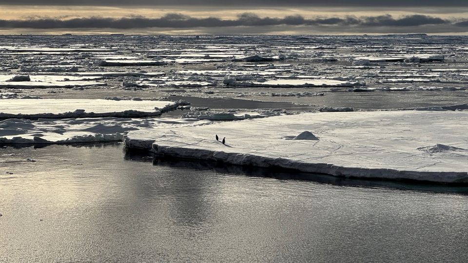 CNN image for A ‘triple whammy’ of chaos has triggered a downward spiral in Antarctica, scientists discover - Yahoo