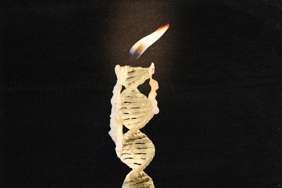 The Washington Post image for We may have even less control over how long we live than previously thought - The Washington Post