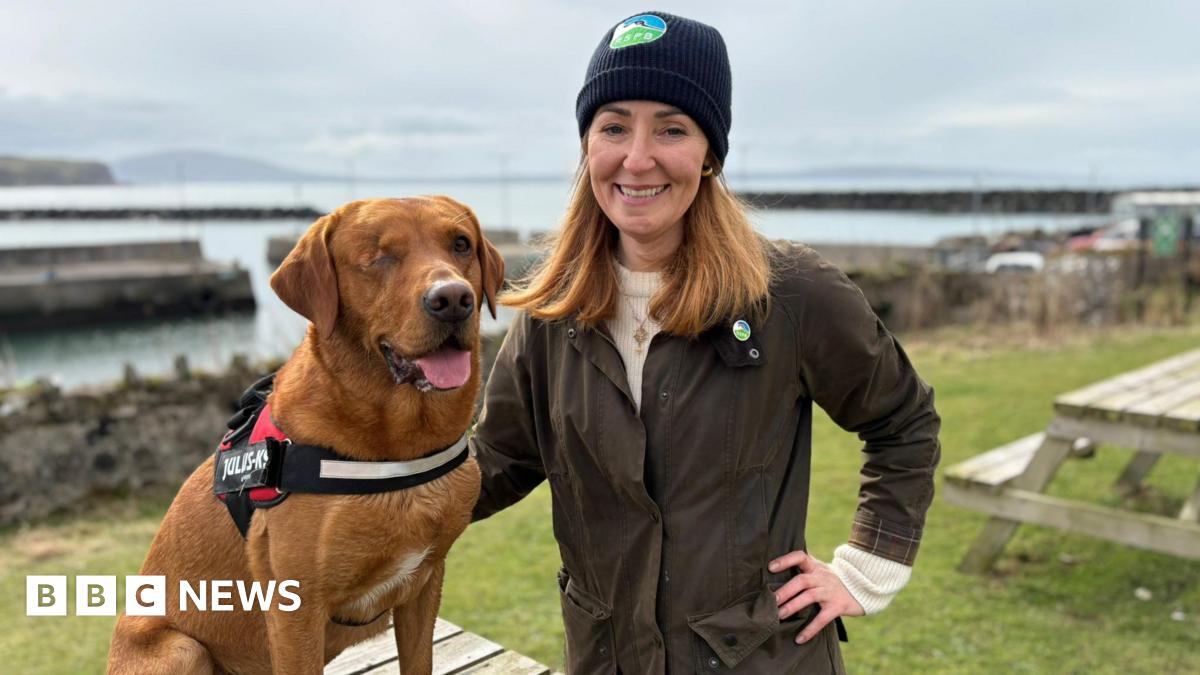 BBC News image for World-first as Rathlin Island is declared ferret free