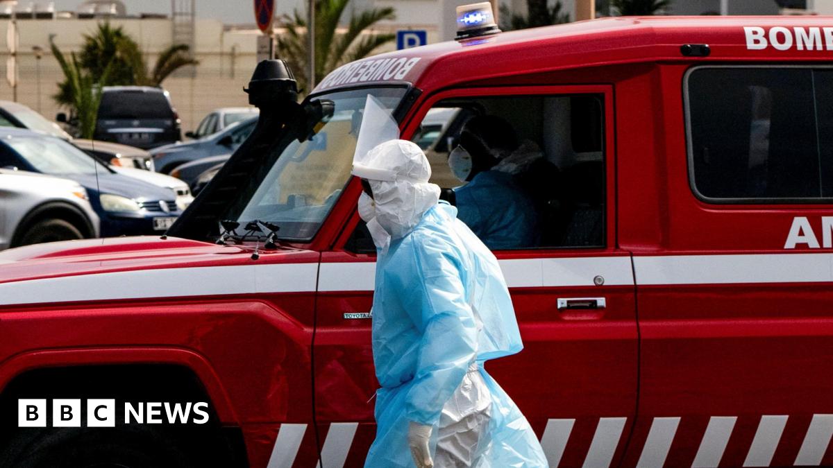 BBC News image for How worried should we be about getting Hantavirus?