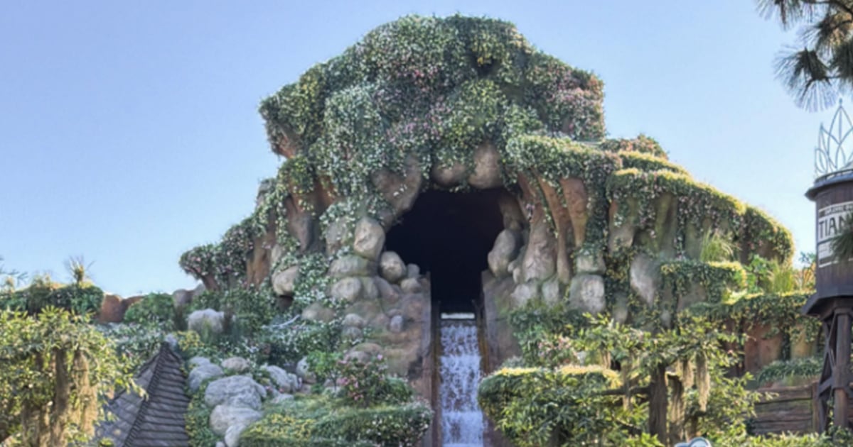 NBC News image for Boy falls down 50-foot waterfall after getting off Disneyland ride early - NBC News